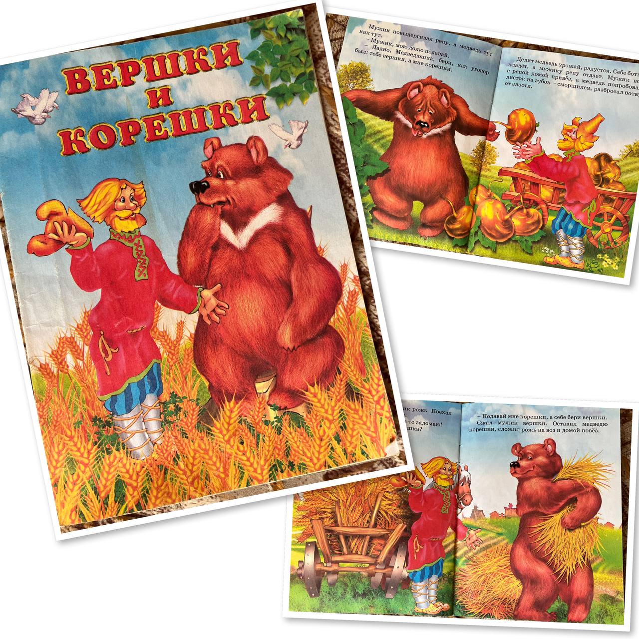 Детская книга Вершки и корешки