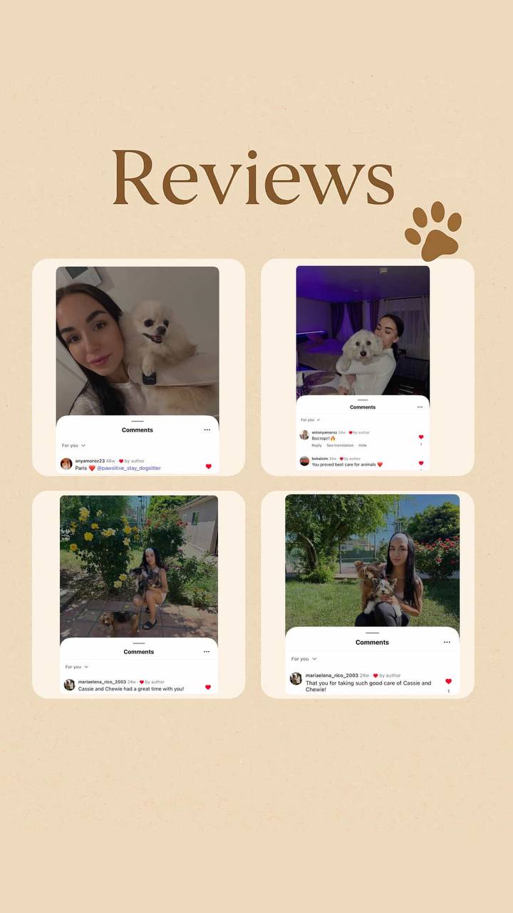 Передержка и уход за собаками Pawsitive Stay в Лос-Анджелесе