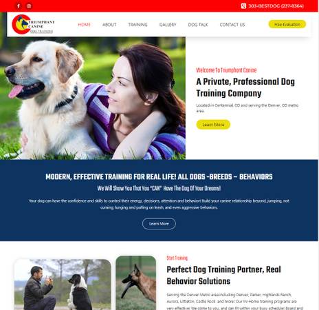 Создание современных веб-сайтов с высокой конверсией от Spinning Web Media Solutions