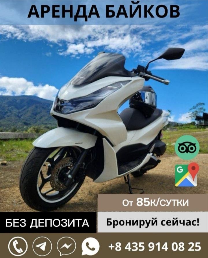 Аренда мотоцикла: большой выбор, доставка, от 85 000 в сутки