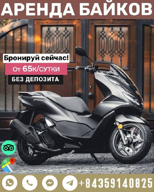 Аренда байков в Дананге и Хойане: большой выбор, доставка, от 65 000 донгов в сутки