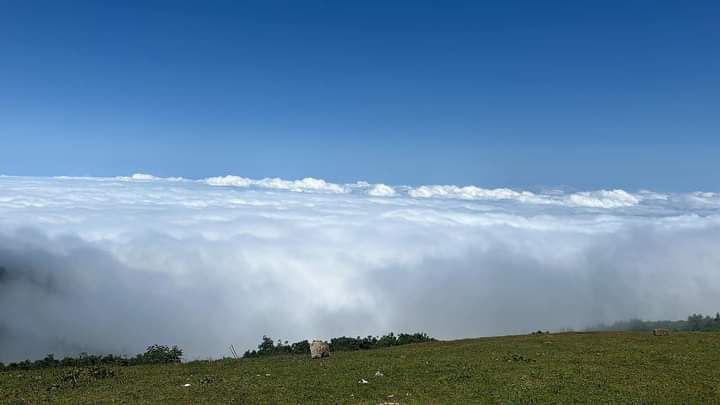 Mountain tour Gomis Mta above clouds, 2755m, 320 per car