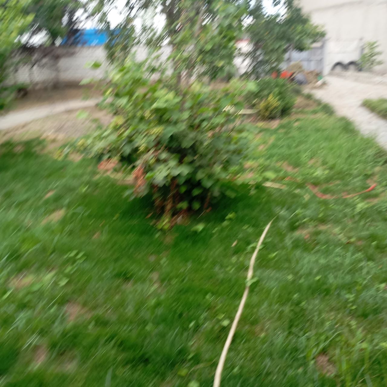 Дом 120 м², 2 спальни, большой двор, кондиционер, центральное отопление