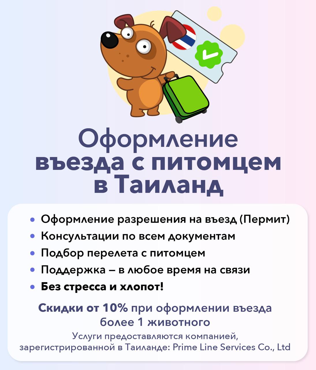 Оформление пермитов для ввоза животных в Таиланд