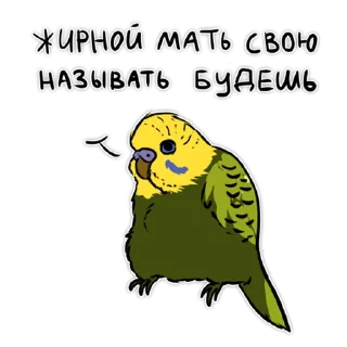 Злые попугайчики (@artstriks)